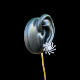 Stand out with our vibrant Party Wear Collection. Designed to impress, these pieces add flair to any occasion. With a touch of premium flair, our party jewelry transforms events into stylish celebrations, helping you stand out among your friends.